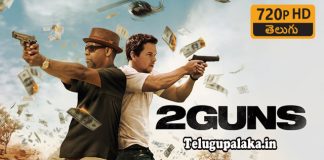 2 Guns (2013) Telugu Dubbed Movie